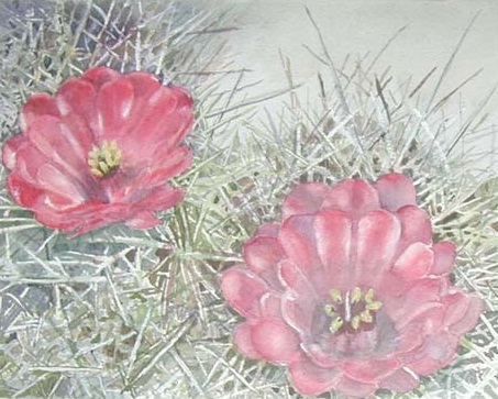 Catus Flowers
