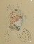 LauTrec's Woman